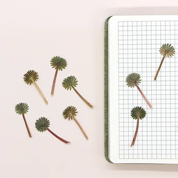  12pcs / 4-5cm, Nature Palm Oxalis пресовано цвете, истинско растение DIY празнично парти карта творчески маркер фото рамка капкомер телефон случай