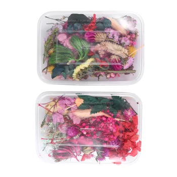 2 кутии Естествени сушени пресовани цветя Множество цветни листа за скрапбукинг DIY смола бижута висулка занаяти вземане на случайни