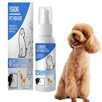 Dog Attractant Spray Dog Attractant Spray Pet-friendly Puppy Potty Training Spray For Indoor Outdoor Use Potty Here Training Aid