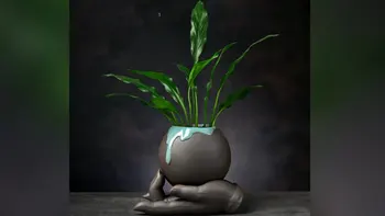 Креативна керамична саксия, хидропонен контейнер за растения, вашият домИзглеждащ, уникален и стилен начин за показване