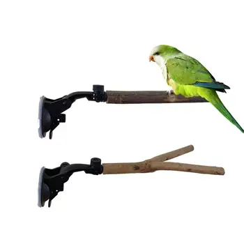 Нехлъзгаща се птица костур естествено дърво папагал костур стойка облекчаване скука всмукване чаша играчка за какаду ара папагал естествена кора