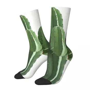 Реколта кактус мъжки чорапи унисекс новост безшевни печатни смешно екипажа чорап подарък