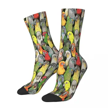 Цвят на Conures папагал птица чорапи мъжки жени летни чорапи хип-хоп